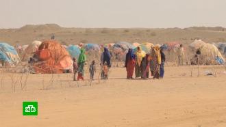 ООН выделила $100 млн на борьбу с голодом в Африке и на Ближнем Востоке