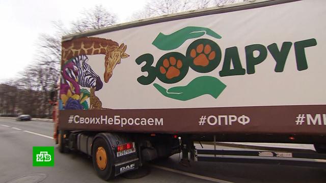 В Донбасс из Москвы отправили партию гумпомощи для зоопарков и приютов.ДНР, Москва, гуманитарная помощь, животные.НТВ.Ru: новости, видео, программы телеканала НТВ