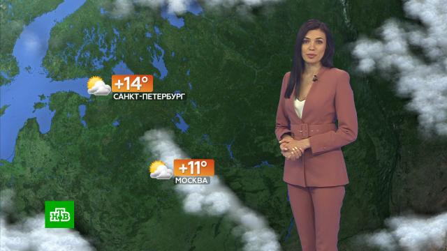 ������� ������ �� 22&nbsp;������.������, ������� ������.���.Ru: �������, �����, ��������� ���������� ���