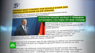 Общественные деятели ФРГ призвали Шольца прекратить поставки оружия Украине