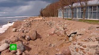 Петербуржцы возмутились незаконными работами на репинском пляже