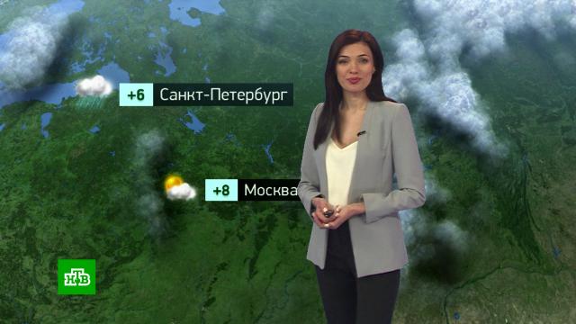 �������� ������� ������ �� 28&nbsp;������.������, ������� ������.���.Ru: �������, �����, ��������� ���������� ���