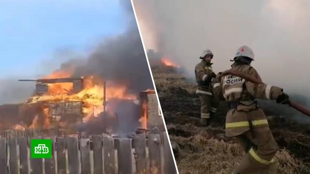 ������ ����� ��������� 55&nbsp;��� ��� ��������.���������� �������, ������ ������, ������.���.Ru: �������, �����, ��������� ���������� ���