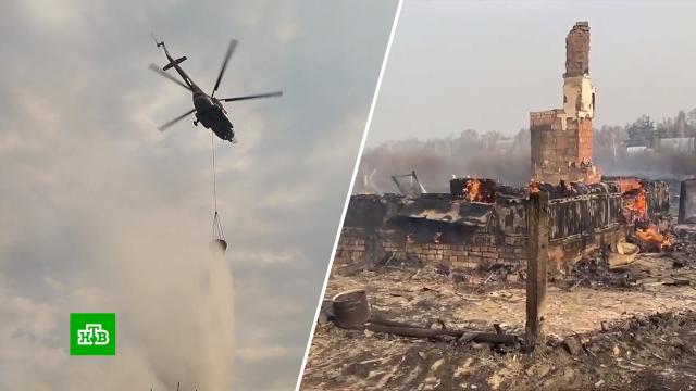 Вернулись на пепелище: природный пожар оставил десятки курганских семей без жилья
