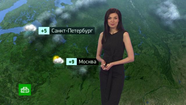 �������� ������� ������ �� 29&nbsp;������.������, ������� ������.���.Ru: �������, �����, ��������� ���������� ���