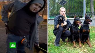 Конфликт со стрельбой в Петербурге: хозяева собак не могут поделить площадку для выгула несколько лет
