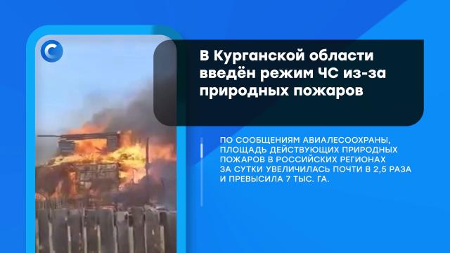 �������. �������: 29&nbsp;������, ����.��������.���.Ru: �������, �����, ��������� ���������� ���