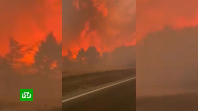 «Несознательные люди»: бушующие в России пожары возникли по вине местных жителей