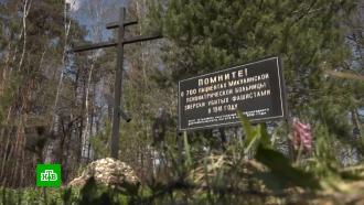 В Подмосковье нашли останки убитых в 1941 году пациентов психиатрической больницы