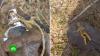 Полиция выясняет, кто оставил кукол вуду в кемеровском лесу