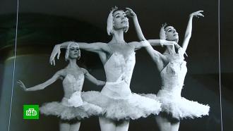 Валентин Перельмутер представил свою балетную фотовыставку в Мариинском театре