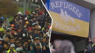 Германия не резиновая: афганцев притесняют в угоду украинским беженцам