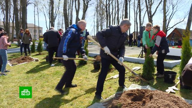 Никто не забыт: по всей территории Белоруссии проходят акции памяти