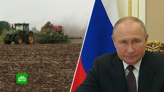 Путин рассказал о рекордном за всю историю России урожае