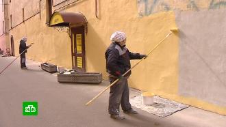 За Неделю чистоты коммунальщики Петербурга должны избавиться от нелегальных граффити