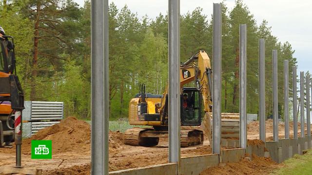 Ученые в Европе выступают против строительства стены на <nobr>польско-белорусской</nobr> границе