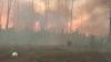 Пожароопасный сезон: почему леса в России начали полыхать уже весной