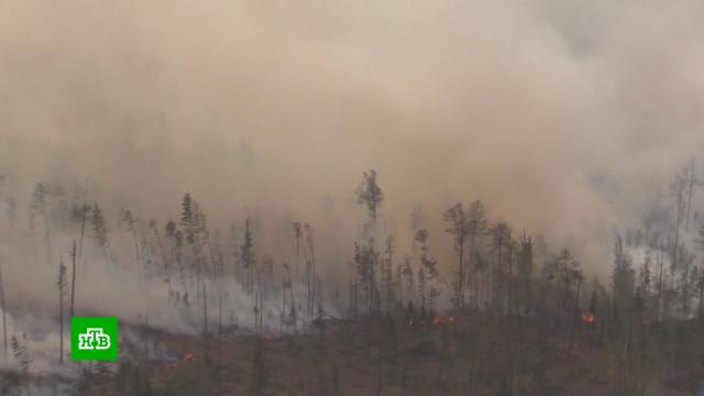 Ситуация с лесными пожарами может ухудшиться в трех федеральных округах.Дальний Восток, Сибирь, Урал, лесные пожары, пожары.НТВ.Ru: новости, видео, программы телеканала НТВ