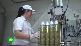 Алтайское оливковое масло и краснодарский чай: отечественные продукты пришли на смену импортным