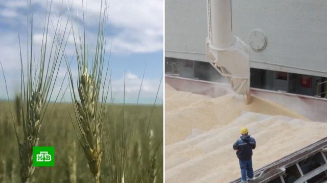 На Западе заговорили о «пшеничной войне» с Россией