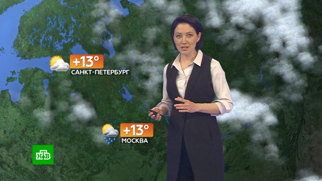 Прогноз погоды на 19 мая.погода, прогноз погоды.НТВ.Ru: новости, видео, программы телеканала НТВ