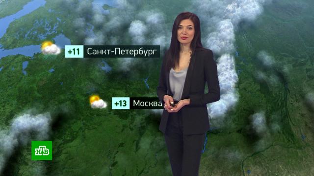 Утренний прогноз погоды на 18 мая.погода, прогноз погоды.НТВ.Ru: новости, видео, программы телеканала НТВ