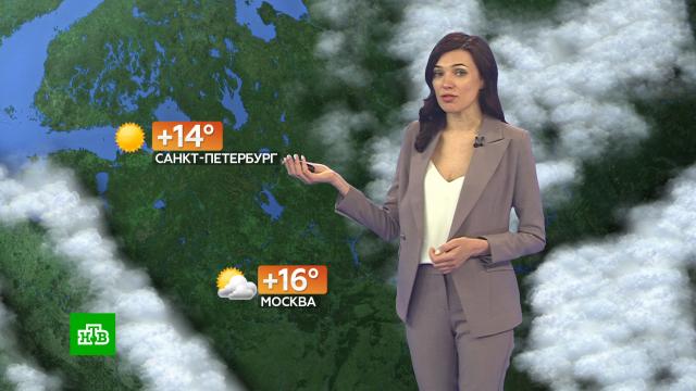 Прогноз погоды на 21 мая.погода, прогноз погоды.НТВ.Ru: новости, видео, программы телеканала НТВ