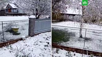 В Кировской области выпал снег 