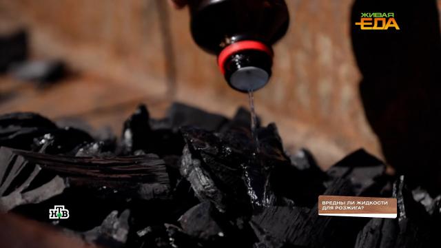 Опасны ли мангальные жидкости для розжига?НТВ.Ru: новости, видео, программы телеканала НТВ