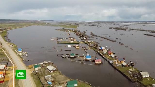Вышедшая из берегов река Лена затопила якутские поселки.МЧС, Якутия, весна, наводнения.НТВ.Ru: новости, видео, программы телеканала НТВ