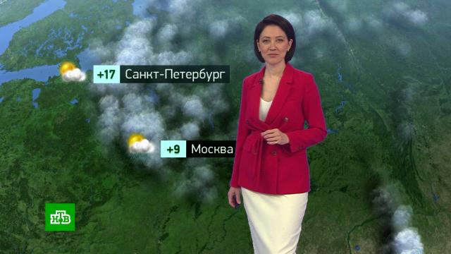 Утренний прогноз погоды на 24 мая.погода, прогноз погоды.НТВ.Ru: новости, видео, программы телеканала НТВ