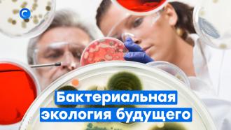Бактерии против мусора: в России тестируют новые способы утилизации отходов