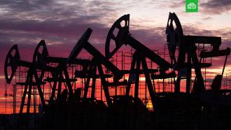 Bloomberg: страны Азии впервые обошли Европу по закупкам нефти у России