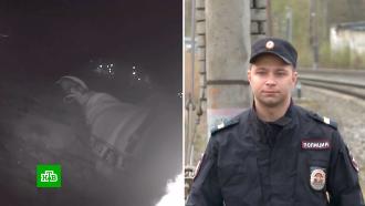 В Вологде полицейский бросился под движущийся поезд, спасая нарушителя 