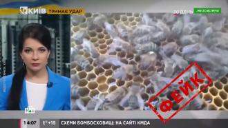 «Боевые пчелы» и «заминированное молоко»: подборка нелепых фейков о российской армии
