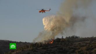 Спасатели остановили крупный лесной пожар в зоне жилой застройки в пригороде Афин