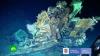 В Колумбии показали видео затонувшего галеона «Сан-Хосе» с несметным количеством золота