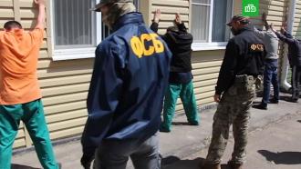 ФСБ выявила террористическую ячейку в <nobr>Ростове-на-Дону</nobr> с координаторами на Украине