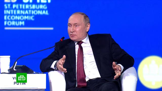 Путин: Россия не против вступления Украины в ЕС.Европейский союз, Путин, Украина.НТВ.Ru: новости, видео, программы телеканала НТВ
