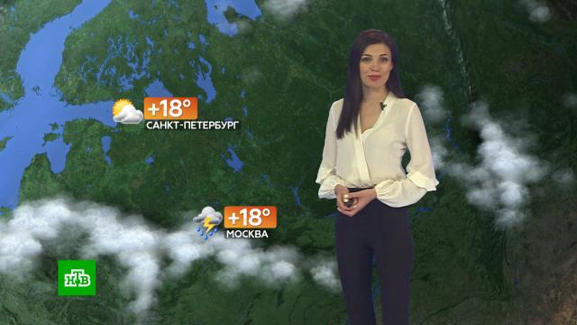 Прогноз погоды на 21 июня.погода, прогноз погоды.НТВ.Ru: новости, видео, программы телеканала НТВ