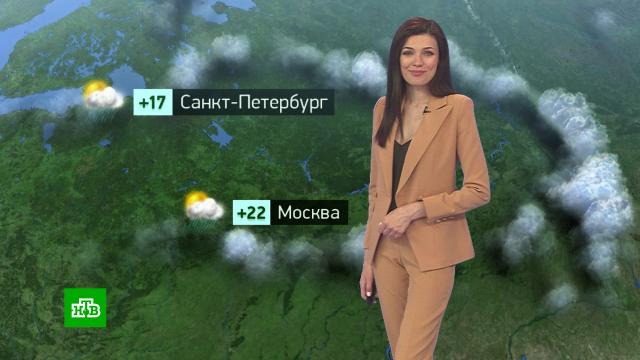 Утренний прогноз погоды на 20 июня.погода, прогноз погоды.НТВ.Ru: новости, видео, программы телеканала НТВ