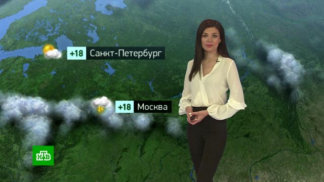 Утренний прогноз погоды на 21 июня.погода, прогноз погоды.НТВ.Ru: новости, видео, программы телеканала НТВ