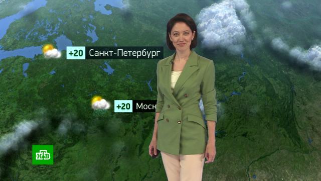 Утренний прогноз погоды на 22 июня.погода, прогноз погоды.НТВ.Ru: новости, видео, программы телеканала НТВ