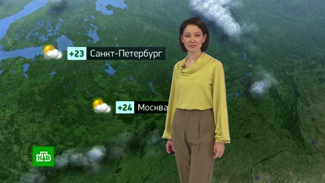 Утренний прогноз погоды на 23 июня.погода, прогноз погоды.НТВ.Ru: новости, видео, программы телеканала НТВ