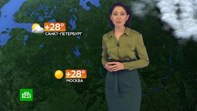 Прогноз погоды на 25 июня.погода, прогноз погоды.НТВ.Ru: новости, видео, программы телеканала НТВ