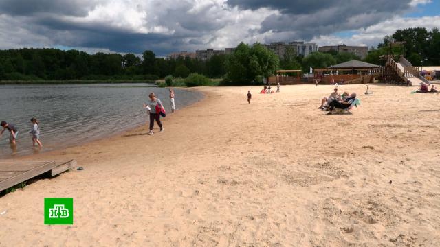 Шезлонги и белый песок: где в Подмосковье самые лучшие пляжи.Москва, отдых и досуг, пляжи.НТВ.Ru: новости, видео, программы телеканала НТВ