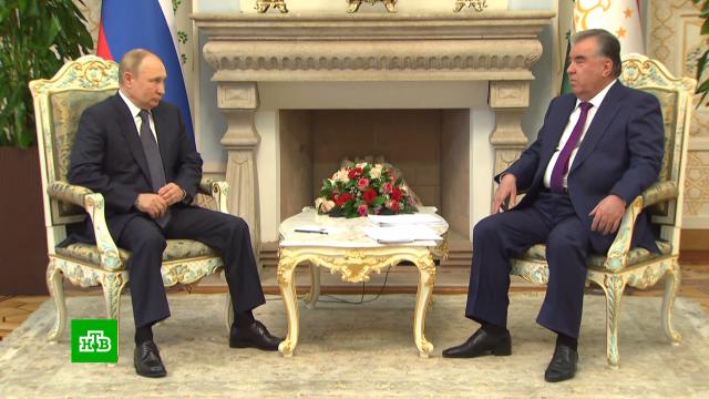 Переговоры Путина и Рахмона проходят в Душанбе.Путин, Таджикистан, дипломатия, переговоры.НТВ.Ru: новости, видео, программы телеканала НТВ