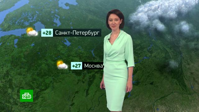 Утренний прогноз погоды на 28 июня.погода, прогноз погоды.НТВ.Ru: новости, видео, программы телеканала НТВ