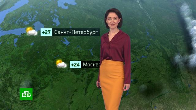 Утренний прогноз погоды на 29 июня.погода, прогноз погоды.НТВ.Ru: новости, видео, программы телеканала НТВ