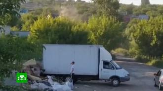 Госдума ужесточила наказание за выброс мусора из машин: как будут ловить нарушителей